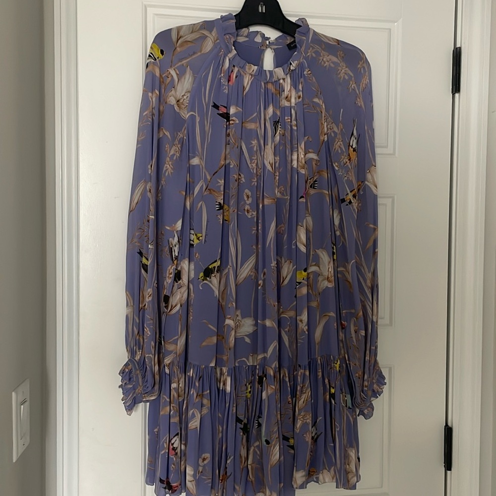 Ruffled long sleeve Mini dress Florals & Birds Coquette Art to Wear Small